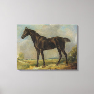 Golding Constable's Black Riding-Horse, c.1805-10 Canvas Print