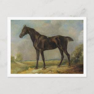 Golding Constable's Black Riding-Horse, c.1805-10 Postcard