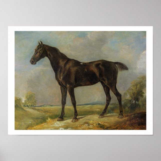 Golding Constable's Black Riding-Horse, c.1805-10 Poster (Front)