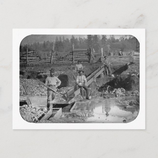 Goldminers Gold Rush Miners ~ California 1850 Postcard (Front)
