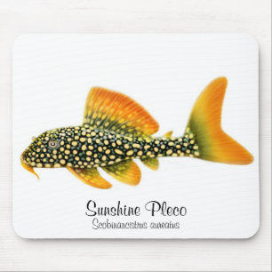 Goldy Sunshine Pleco Mousepad
