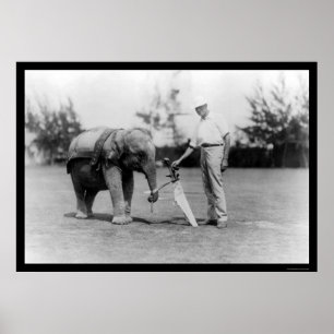 Golfer and Elephant Caddy in Miami, FL 1922 Poster
