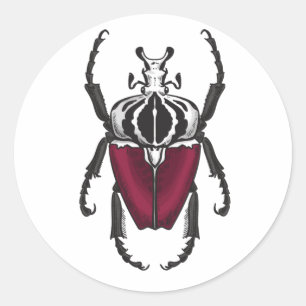 Goliath beetle classic round sticker