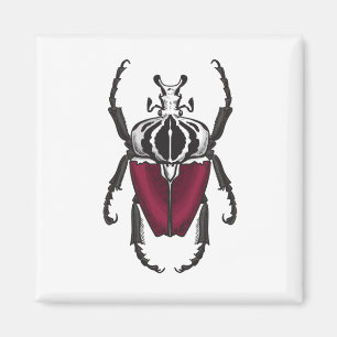Goliath beetle magnet