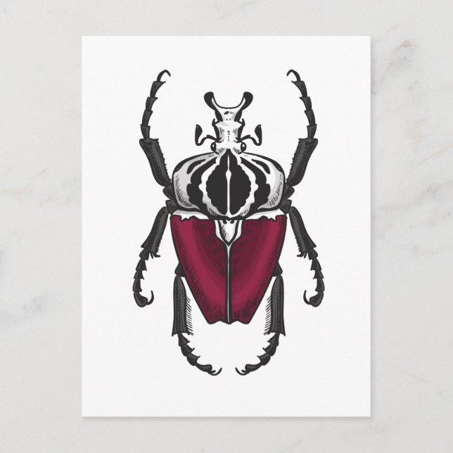 Goliath beetle postcard (Front)