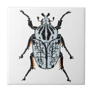 Goliath Beetle (single) Tile