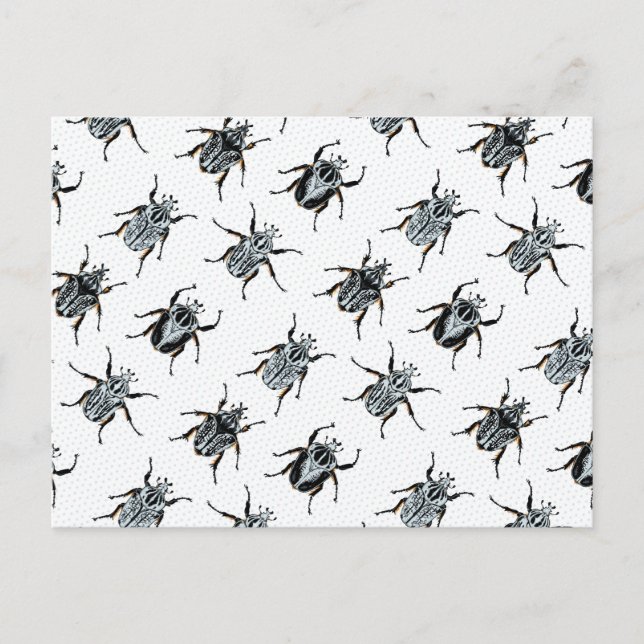 Goliath Beetles Postcard (Front)