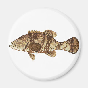 Goliath Grouper Gamefish ocean vector illustration Magnet
