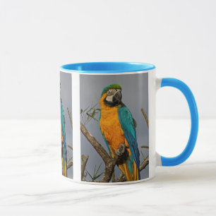 Golide Blue Mug