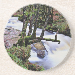 Golitha Falls, Cornwall, England flowers Coaster
