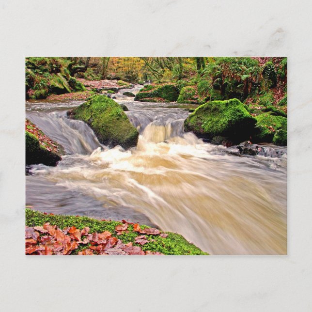 GOLITHA FALLS POSTCARD (Front)