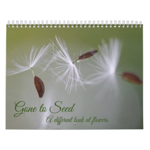 Gone to Seed: A differet look at flowers Calendar