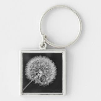 Gone to Seed Keychain