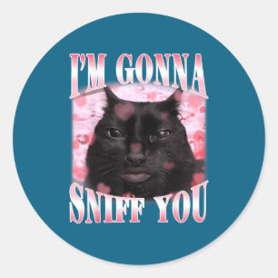 Gonna sniff funny brainrot stupid cat meme graphic classic round sticker