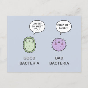 Good Bacteria, Bad Bacteria Invitation Postcard