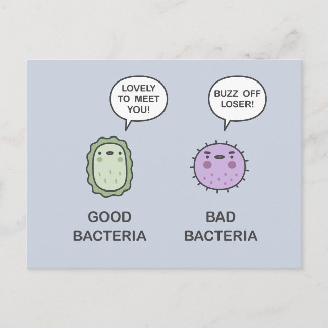 Good Bacteria, Bad Bacteria Postcard (Front)