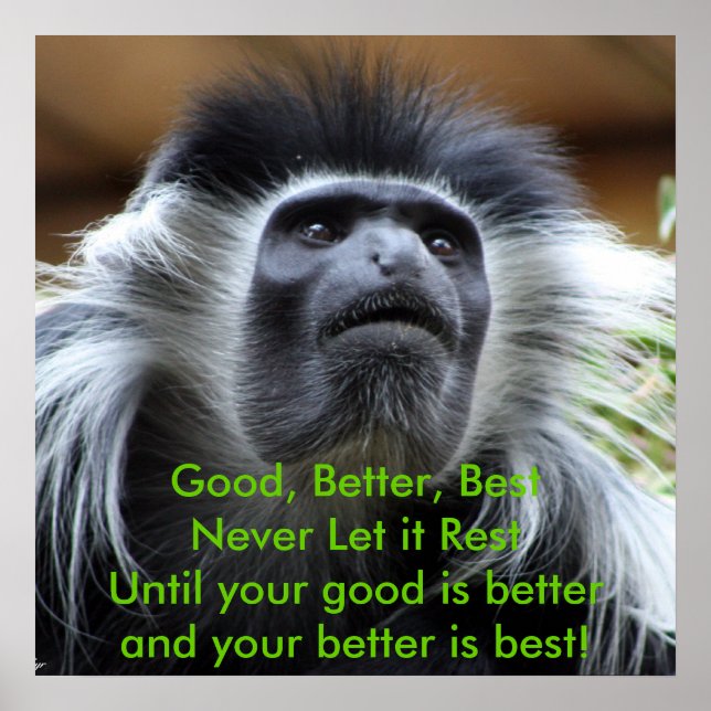 Good, Better, Best,Never Let it Rest! Poster (Front)