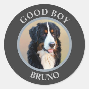 Good boy dog photo text polka dots grey modern classic round sticker
