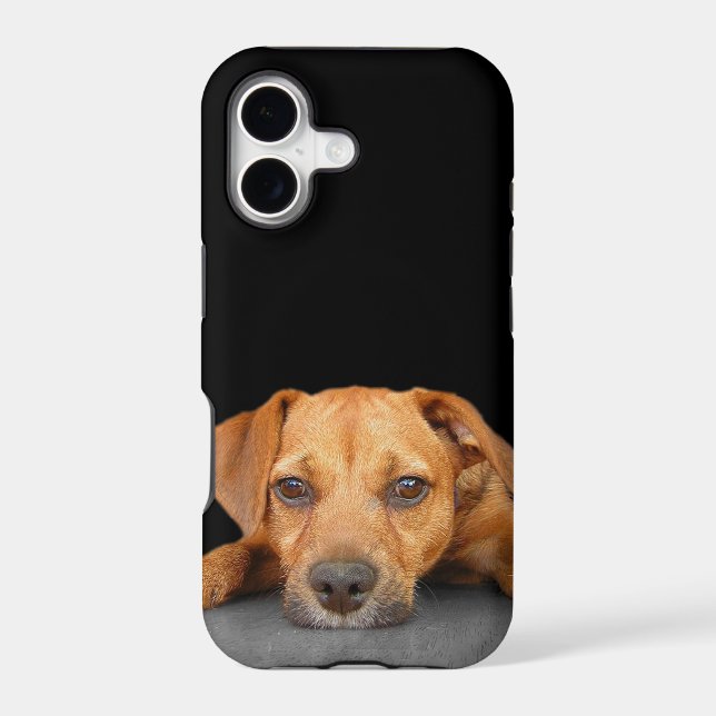 Good Dog (Back)