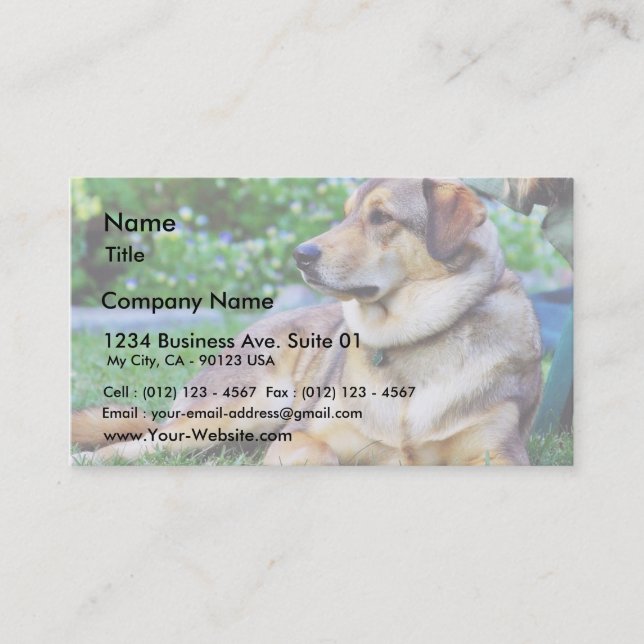 Good Dog Business Card (Front)