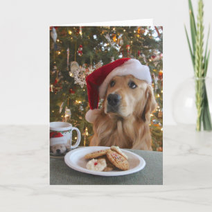 Good Dog! Holiday Card