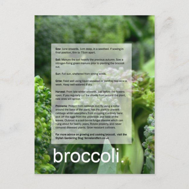 Good Growing Guide: Broccoli and radishes Postcard (Front)