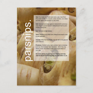 Good Growing Guide: Globe Artichokes & Parsnips Postcard