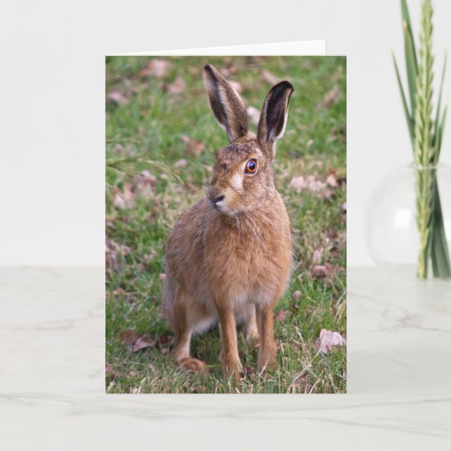 Good Hare Day Card (Front)