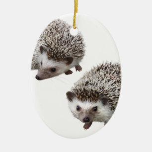 good hedgehog ceramic ornament
