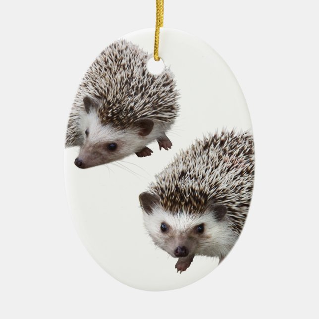 good hedgehog ceramic ornament (Front)