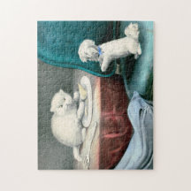 Good little Fido and naughty Kittie, 1893