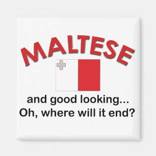 Good Looking Maltese Magnet