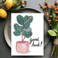 Good Luck Calathea Prayer Plant Watercolor