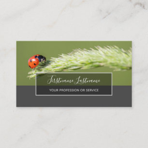 Good luck dotted ladybugs elegant gray rectangle b business card