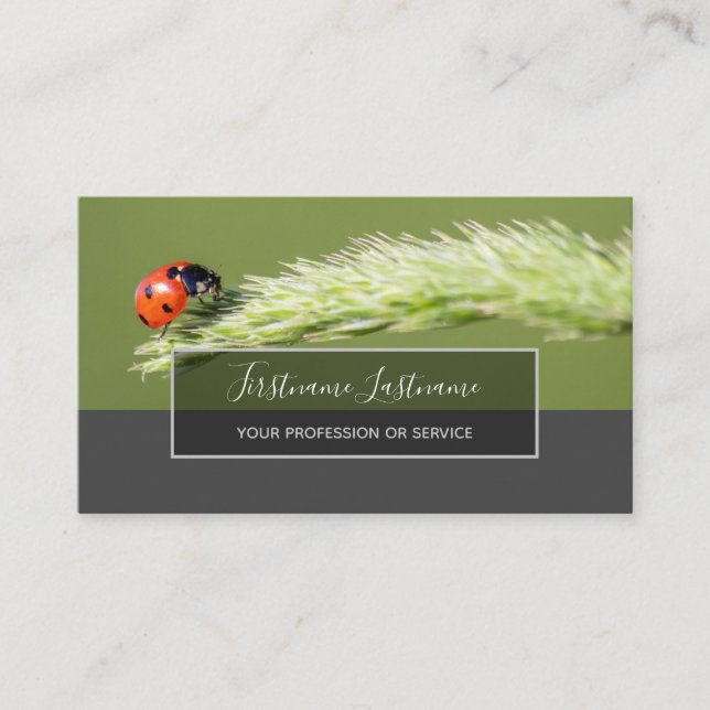 Good luck dotted ladybugs elegant grey rectangle b business card (Front)