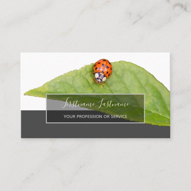 Good luck dotted ladybugs elegant grey rectangle b business card (Front)