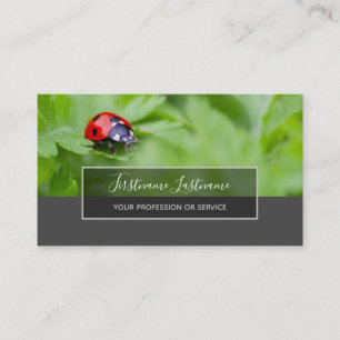 Good luck dotted ladybugs elegant grey rectangle b business card