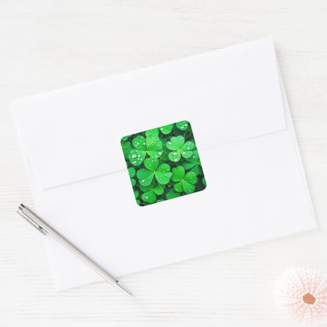 Good Luck Four-Leaf Clovers Square Sticker (Envelope)