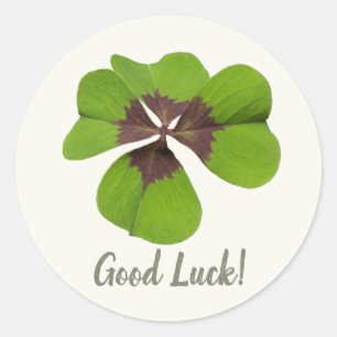 Good Luck Lucky Charm Four-leaf clover Gift Classic Round Sticker