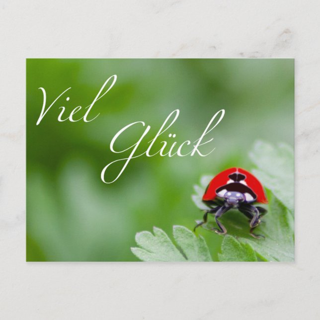 Good luck! postcard (Front)