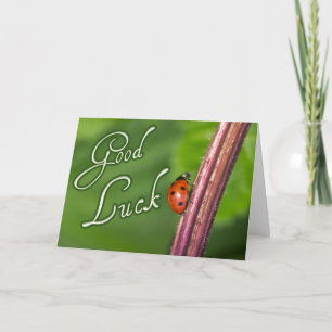Good luck with a little ladybug! Card