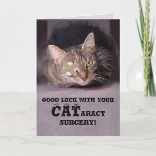 Funny Cat  Get Well Cards Well Wishes Cards Zazzle ca