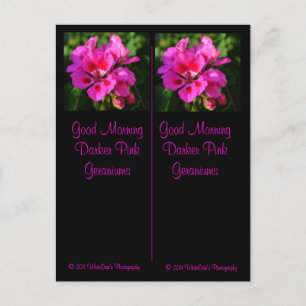 Good Morning Bookmarks Postcard