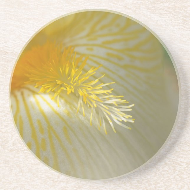 Good Morning Iris! Coaster (Front)