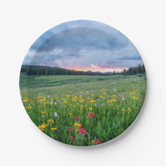 Good Morning Meadow, Paper Plate