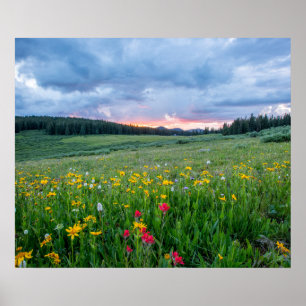 Good Morning Meadow, Poster