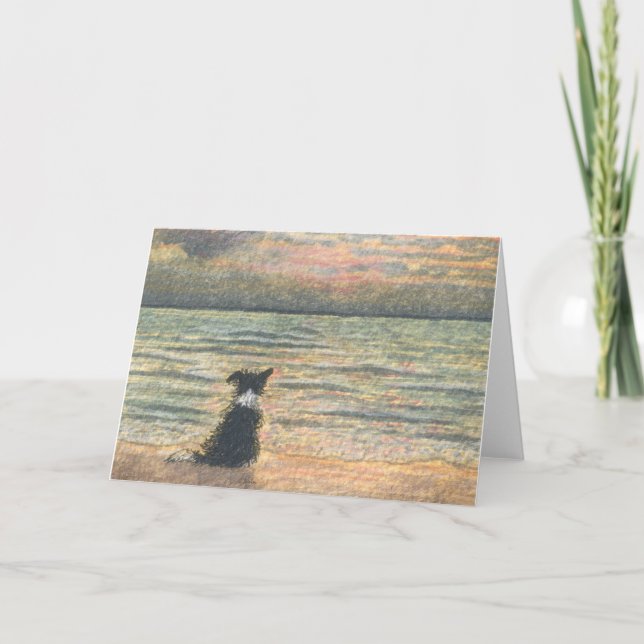 Good Morning, Morning. Border Collie Dog Card (Front)