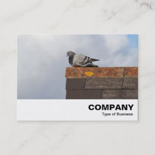 Good Morning Pigeon Business Card
