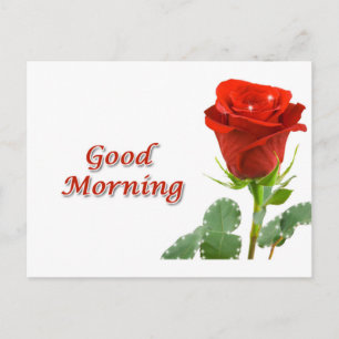 good morning postcard