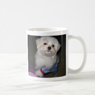 Good Morning Sunshine Maltese Mug